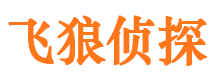 安陆市私家侦探